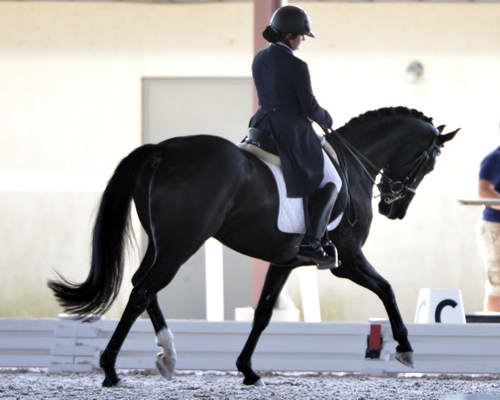 HHB-3-16-13-FL-03507-DDeRosaPhoto - Copy