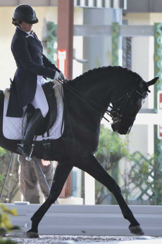 HHB-3-16-13-FL-03509-DDeRosaPhoto