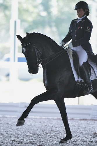 HHB-3-16-13-FL-03515-DDeRosaPhoto - Copy