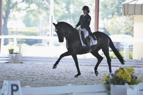 HHB-3-16-13-FL-03515-DDeRosaPhoto