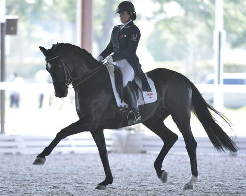 HHB-3-16-13-FL-03517-DDeRosaPhoto - Copy