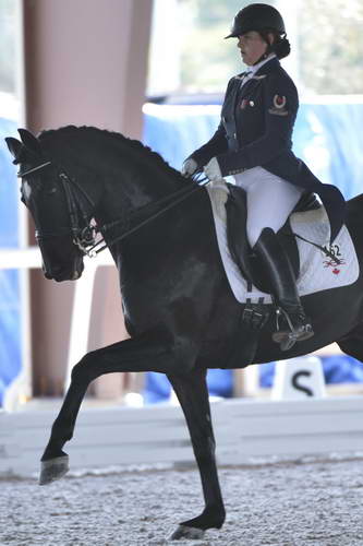 HHB-3-16-13-FL-03523-DDeRosaPhoto - Copy