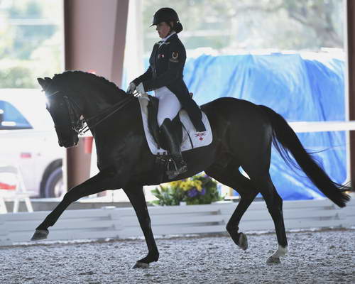 HHB-3-16-13-FL-03525-DDeRosaPhoto - Copy