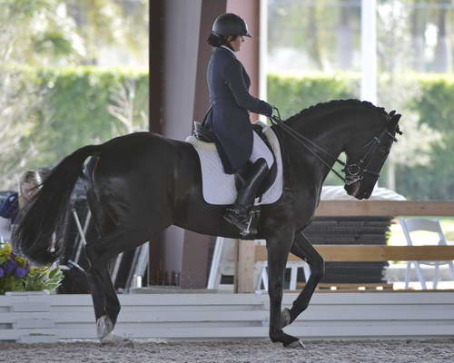 HHB-3-16-13-FL-03564-DDeRosaPhoto - Copy