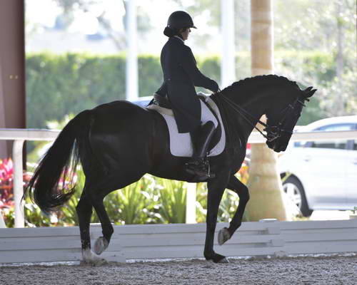 HHB-3-16-13-FL-03566-DDeRosaPhoto - Copy