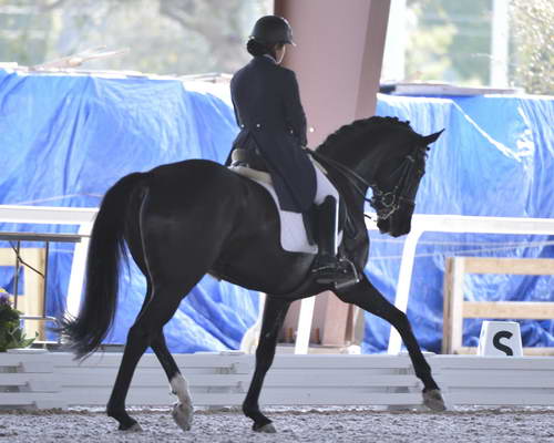 HHB-3-16-13-FL-03570-DDeRosaPhoto - Copy