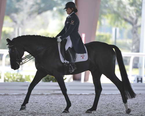 HHB-3-16-13-FL-03589-DDeRosaPhoto - Copy