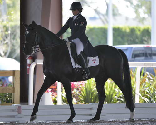 HHB-3-16-13-FL-03593-DDeRosaPhoto - Copy