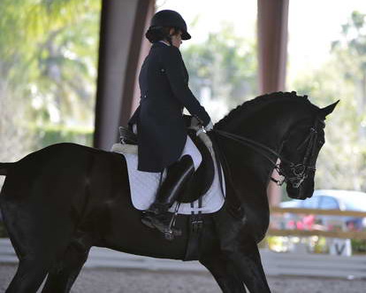 HHB-3-16-13-FL-03597-DDeRosaPhoto