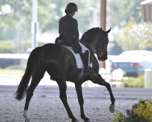 HHB-3-16-13-FL-03601-DDeRosaPhoto - Copy