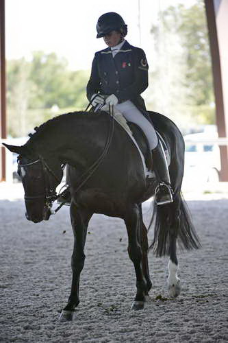 HHB-3-16-13-FL-03627-DDeRosaPhoto