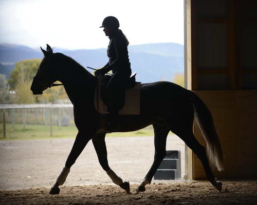 HHB2-10-13-12-0854-Folsom-MarianNilsen-DDeRosaPhoto