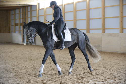 HHB2-10-13-12-0865-Folsom-MarianNilsen-DDeRosaPhoto