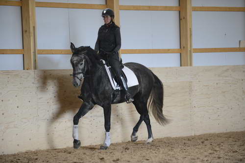 HHB2-10-13-12-0920-Folsom-MarianNilsen-DDeRosaPhoto