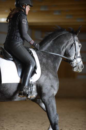 HHB2-10-13-12-0940-Folsom-MarianNilsen-DDeRosaPhoto