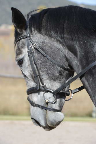 HHB2-10-14-12-1844-Folsom-DDeRosaPhoto