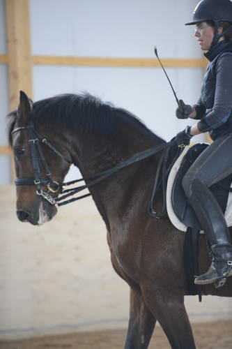 HHB1-10-13-12-9898-Atego-MarianNilsen-DDeRosaPhoto