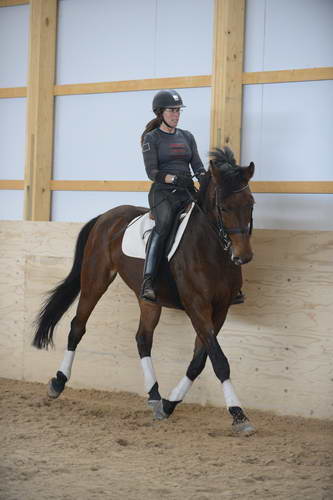 HHB1-10-13-12-9941-Atego-MarianNilsen-DDeRosaPhoto