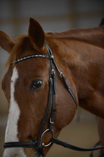 HHB2-10-13-12-0377-DayTyme-DDeRosaPhoto