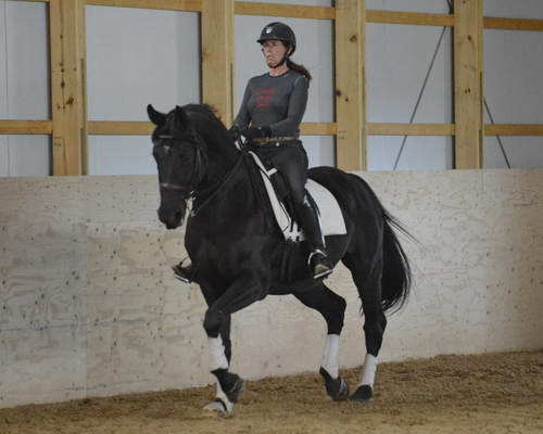 HHB2-10-13-12-0736-Frodo-MarianNilsen-DDeRosaPhoto