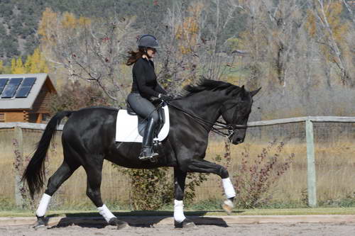 HHB2-10-14-12-1365-Frodo-MarianNilsen-DDeRosaPhoto