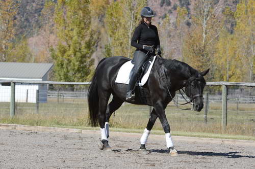 HHB2-10-14-12-1429-Frodo-MarianNilsen-DDeRosaPhoto