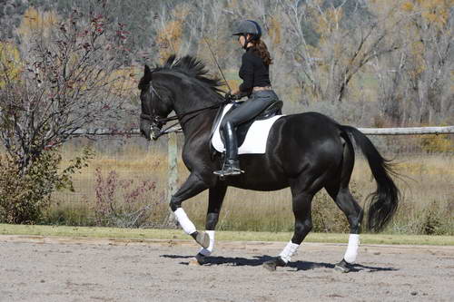 HHB2-10-14-12-1443-Frodo-MarianNilsen-DDeRosaPhoto