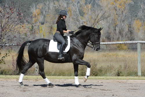 HHB2-10-14-12-1485-Frodo-MarianNilsen-DDeRosaPhoto