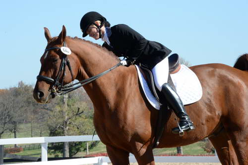 HHB-DressageFinals-11-8-13-0489-DDeRosaPhoto