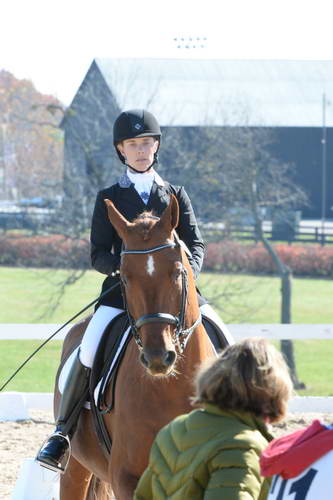 HHB-DressageFinals-11-8-13-0511-DDeRosaPhoto