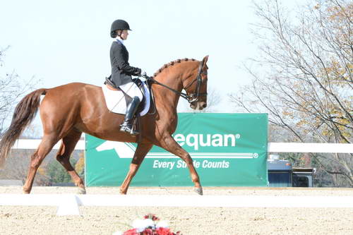 HHB-DressageFinals-11-8-13-0528-DDeRosaPhoto