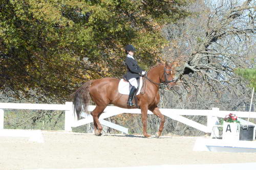 HHB-DressageFinals-11-8-13-0530-DDeRosaPhoto