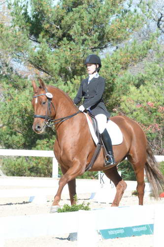 HHB-DressageFinals-11-8-13-0531-DDeRosaPhoto