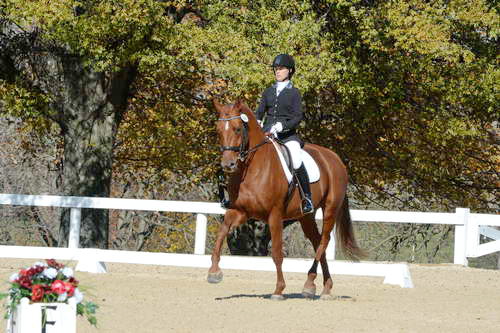 HHB-DressageFinals-11-8-13-0544-DDeRosaPhoto