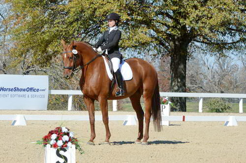 HHB-DressageFinals-11-8-13-0551-DDeRosaPhoto