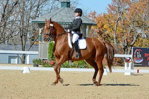HHB-DressageFinals-11-8-13-0554-DDeRosaPhoto