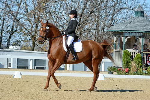 HHB-DressageFinals-11-8-13-0556-DDeRosaPhoto