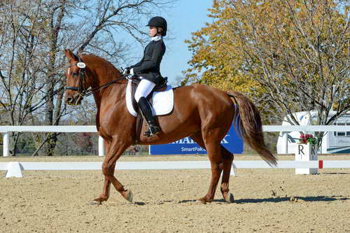 HHB-DressageFinals-11-8-13-0559-DDeRosaPhoto