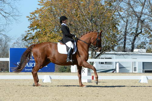 HHB-DressageFinals-11-8-13-0584-DDeRosaPhoto