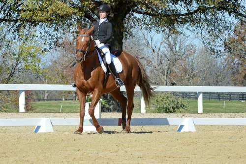 HHB-DressageFinals-11-8-13-0601-DDeRosaPhoto