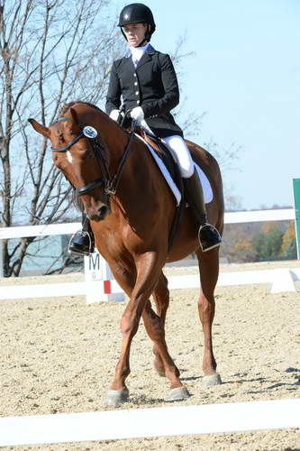 HHB-DressageFinals-11-8-13-0615-DDeRosaPhoto