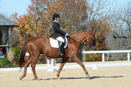 HHB-DressageFinals-11-8-13-0619-DDeRosaPhoto