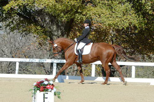 HHB-DressageFinals-11-8-13-0623-DDeRosaPhoto
