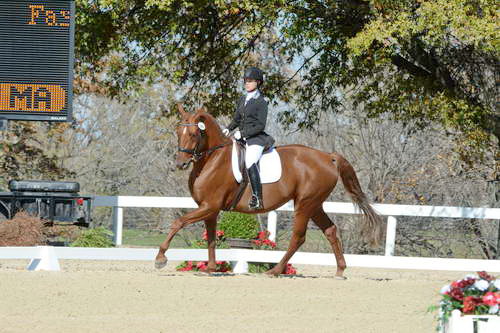HHB-DressageFinals-11-8-13-0624-DDeRosaPhoto