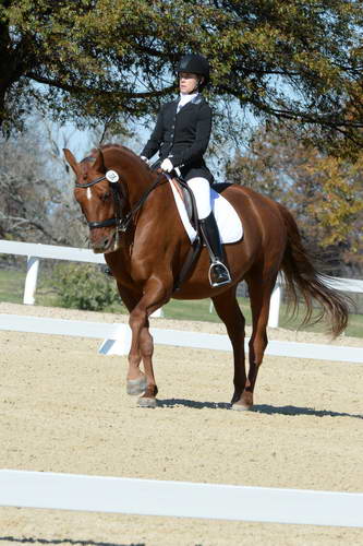 HHB-DressageFinals-11-8-13-0626-DDeRosaPhoto