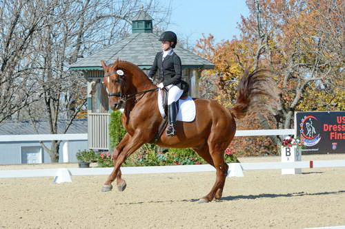 HHB-DressageFinals-11-8-13-0639-DDeRosaPhoto