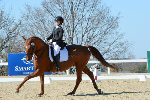 HHB-DressageFinals-11-8-13-0640-DDeRosaPhoto