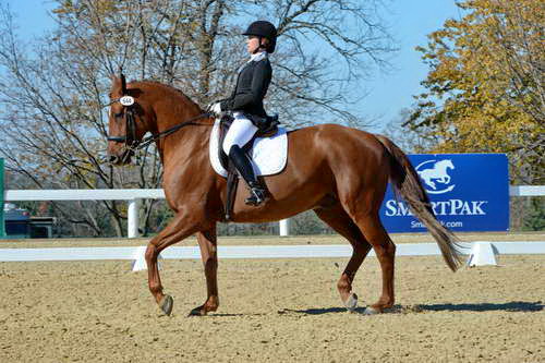 HHB-DressageFinals-11-8-13-0650-DDeRosaPhoto