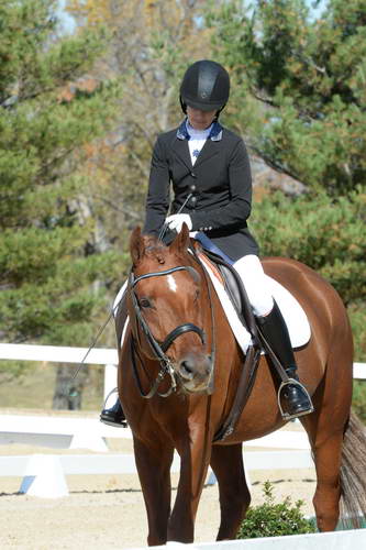 HHB-DressageFinals-11-8-13-0662-DDeRosaPhoto