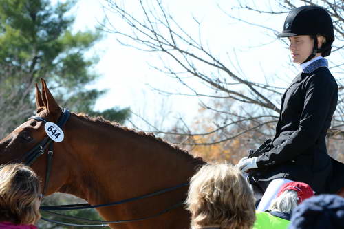 HHB-DressageFinals-11-8-13-0678-DDeRosaPhoto